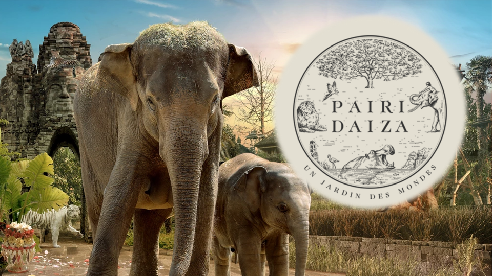 PAIRI DAIZA